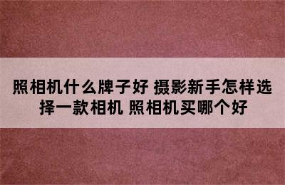 照相机什么牌子好 摄影新手怎样选择一款相机 照相机买哪个好